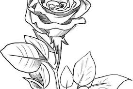 Gambar pensil keren mudah ditiru. Rdjy8zllcrtmdm
