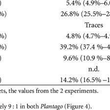 Image result for Plantago palmata