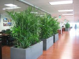 We offers office plant displays products. Botany Bottle Plant Displays Home Facebook
