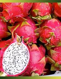 Decouvrez Ces Fruits Et Legumes Meconnus La Pitaya Fruit Du Dragon Natif D Asie C Est Un Fruit A La Peau Coria Fruits Et Legumes Fruit Du Dragon Fruits