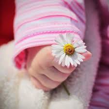 Happy baby face beautiful child with flower,cute baby girl. Pin By Be Des Lones On Baby New Baby Flowers Cute Baby Wallpaper Baby Girl Photography