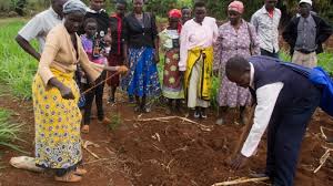 In den vergangenen monaten kam es in dem ostafrikanischen land zu mehreren. Menschen Mit Behinderung In Kenia Der Blinde Hilft Dem Lahmen Archiv