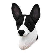 Black And White Rat Terrier Rat Terrier Gifts Merchandise In 2020 Rat Terriers Dogs Rats