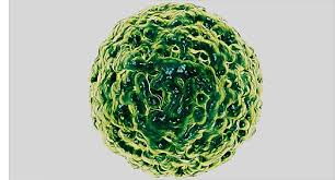 So, how do you clean a carpet with vomit or diarrhea on it and kill these viruses? Norovirus Winter Vomiting Bug Symptoms Treatment Prevention