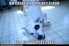 Oh Great And Mighty Floor Tell Me Your Secrets Tell Me Your Secrets Grass Know Your Meme