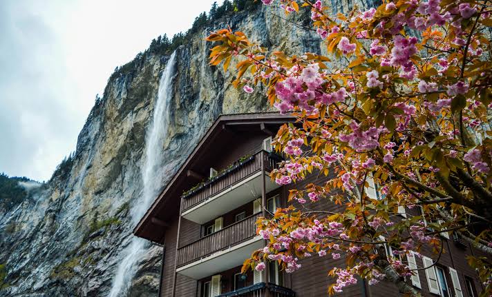 Powerful waterfall flowing through rocky cliff near residential building  and blossoming tree · Free Stock Photo