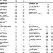 Image result for Raphidiocystis phyllocalyx