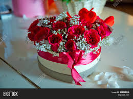 We did not find results for: Heart Shaped Bouquet Image Photo Free Trial Bigstock