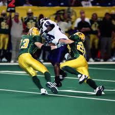 Image result for Yellow 2004 AA