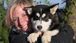 Gechipt und geimpft mehr info bitte anrufen 015175591989. Bad Worishofen Nach Unfalltod Des Besitzers Happy End Fur Die Husky Welpen Mindelheimer Zeitung