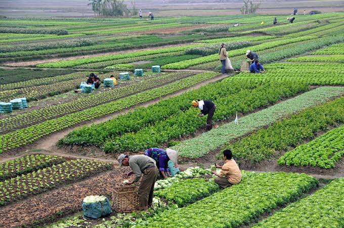Transforming subsistence farming into sustainable agriculture, AI generated