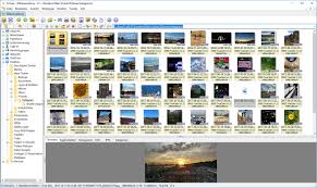 Xnview mp/classic is a free image viewer to easily open and edit your photo file. Xnview 2 49 4 Download Computer Bild