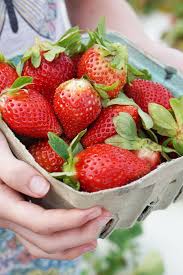 Drinks Food And Fruits At Keel And Curley Plant City Geniabeme Food Travel Food Fruit Picking