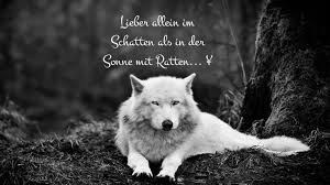 Weisser Wolf In 2020 Spruche Zitate Weise Worte Spruche