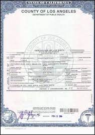 You will need to write or visit the registry of vital records and statistics in the state where your child was born. Ways You Can Order A Copy Of Your Birth Certificate South Florida Reporter