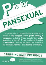 Pin On Xx Pansexual Xx