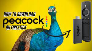 Again back to the home screen page. How To Install Peacock Tv On My Firestick Youtube