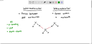 If you cannot figure out an answer or if you are struggling with a particular exercise then mark it with an asterisk and bring the question to class. Solved Explain The Difference Between Intramolecular And Intermolecular Forces