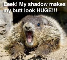 A Little Dose Of Happy With Cute And Funny Groundhog Memes Friday Frivolity Groundhog Pictures Groundhog Day Happy Groundhog Day