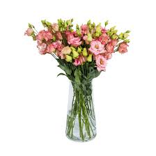 Image result for eustoma lisianthus in vase
