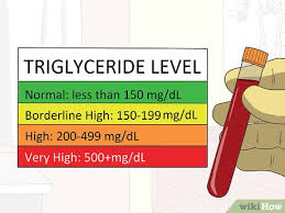 Einen Normalen Cholesterinspiegel Aufrechterhalten Wikihow