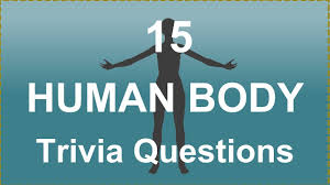 Although the measurement is often reserved for appliances and machines, it can also be applied the energy taken in and given off by each human body. 15 Human Body Trivia Questions 2 Trivia Questions Answers Youtube