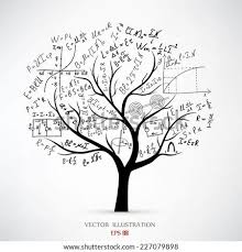 4 ft, 10 in 6 ft. Who The Tree Writing Mathamatis Catherine Menon Pure Mathematics And Writing Come Out Of A Look At The Benefits Otspeirwa