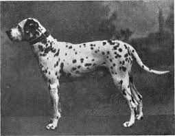 This keeps me laughing all day.i wish someone would make a mr. Mrs Hebe Bedwell And Mr W J Bedwell