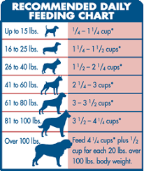 Great Pyrenees Feeding Chart Goldenacresdogs Com