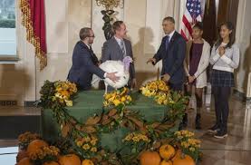 Maybe you would like to learn more about one of these? Obama Erteilt Prasidiales Pardon Thanksgiving Truthahne Mac Und Cheese Leben Weiter Panorama Stuttgarter Nachrichten