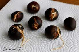 Forget The Toothpicks This Is The Easy Way To Grow Avocado From Seed Avocado Plant From Seed Grow Avocado Avocado Plant