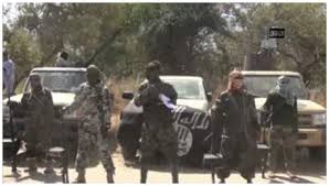 According to the online platform, the incident shekau had been the leader of boko haram since 2009 following the death of the group's founder, mohammed yusuf. The Words Of Boko Haram Cairn International Edition