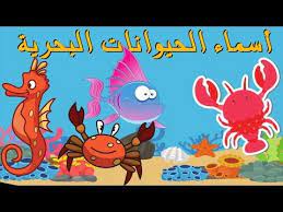 أسماء الحيوانات البحرية تعليم الأطفال أسماء الأسماك باللغة العربية kids learn sea animals youtube arabic lessons lesson character