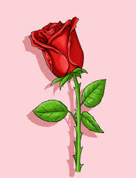 Rosa Rossa Disegni Di Rose Disegno Di Fiori Illustrazione Rosa