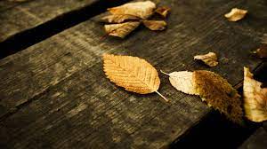Autumn Garden Hd Wallpaper Source Http Wallpaperlatest Com Wp Content Uploads Autumn Garden Hd Wallpaper 3 Jpg Fall Wallpaper Leaf Wallpaper Autumn Nature