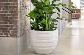 Coupon must be presented and. Flower Pot M Sydney Flowerfeldt Extra Large Pots In White Flowerfeldt
