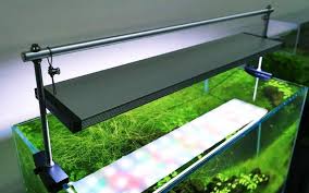 Cek aneka rekomendasi lampu plafon rumah led terlengkap & terbaik lainnya. Update Daftar Harga Lampu Aquarium Terbaru Hari Ini Suka Ikan
