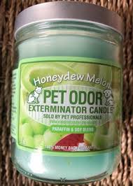 Boasts a unique blend of sweet oranges with a splash of tangy lemons. Candles Wangford Veterinary Clinic Store
