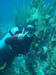 نتیجه جستجوی لغت [biologist] در گوگل