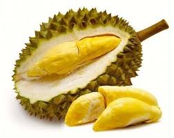 Resultat De Recherche D Images Pour Durian Fruit Groenten Fruit Zaaddozen