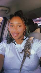 Taming a bearded dragon, Miss Frizzle, with patience and care