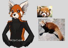 Red Panda Design Sketch by OllieCollie -- Fur Affinity [dot] net