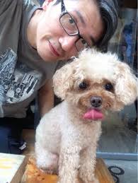 預訂Lai King Hill最佳評論的上門貓咪保姆