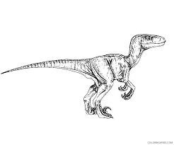 Jurassic world blue raptor coloring pages production was completed in may 2015 and jurassic dinosaur coloring pages dinosaur coloring coloring pages … Jurassic Park Coloring Pages Velociraptor Coloring4free Coloring4free Com