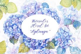 We did not find results for: Hydrangea Watercolor Flowers 37184 Illustrations Design Bundles