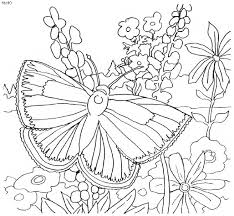 Select from 35715 printable coloring pages of cartoons, animals, nature, bible and many more. Butterfly In The Garden Butterfly Coloring Page Coloring Pages Nature Flower Coloring Pages