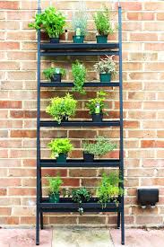 Maybe you would like to learn more about one of these? How To Grow A Herb Garden Supper In The Suburbs