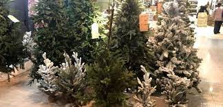 Buy Real Christmas Tree Near Me Gallery