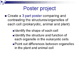 Customize & buy poster, prints & canvas art online. Eukaryotic Cells Vs Prokaryotic Cells Cell Theory Cells