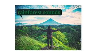 50 Min Relaxing Sounds Of Rainforest Animals Waterfall And Rain Sound Sleep Meditation Sounds For Yoga Relaxing In 2020 Rainforest Animals Rainforest Animal Sounds